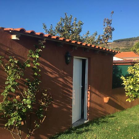 Villa - Torres Vedras, Lisbon Country Side Almeirinhos de Baixo Exterior photo